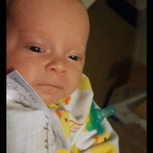 Meet your Posher, Frankie